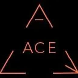 ACE Company